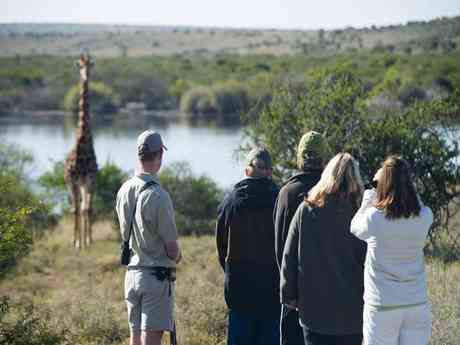 Winelands, Garden Route & Safari Family Holiday